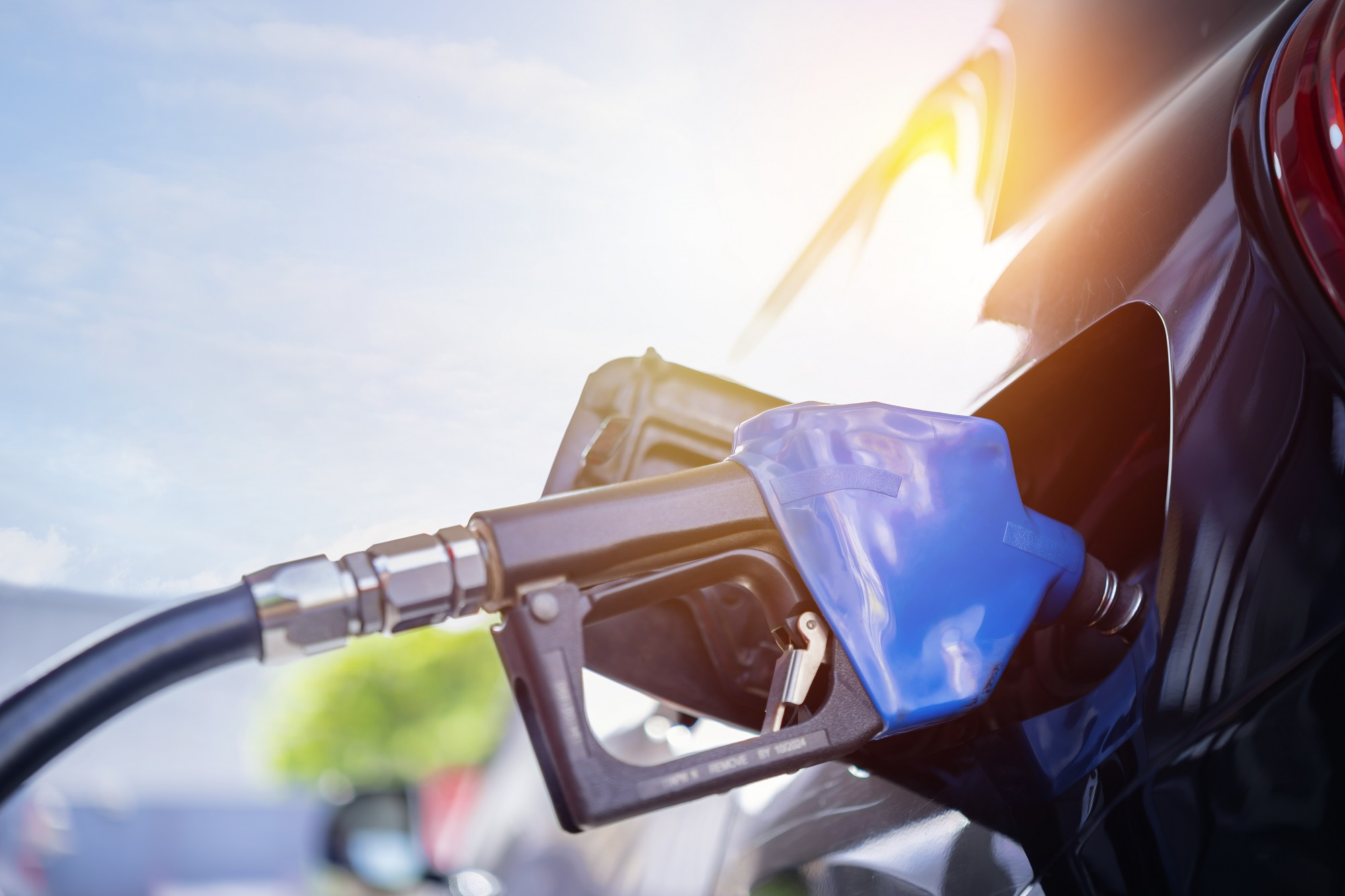 diesel benzyna ceny paliw kursy walut dolar euro