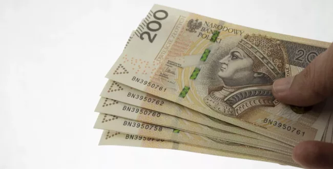 Polska wprowadzi walutę euro? Złotówka zniknie na zawsze? To jeden z pomysłów nowej władzy?