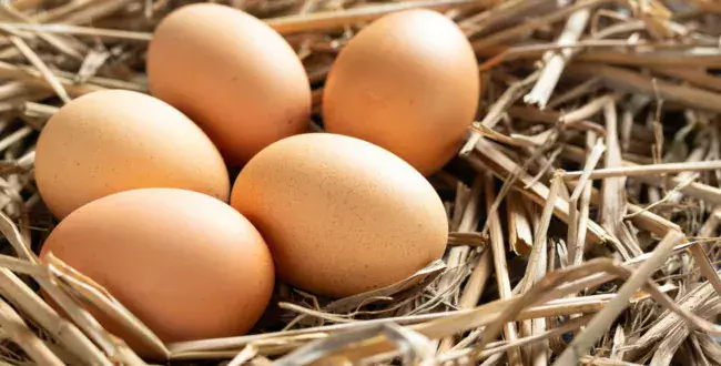 Jajka sprzedawane są zbyt tanio. Producenci alarmują i ostrzegają