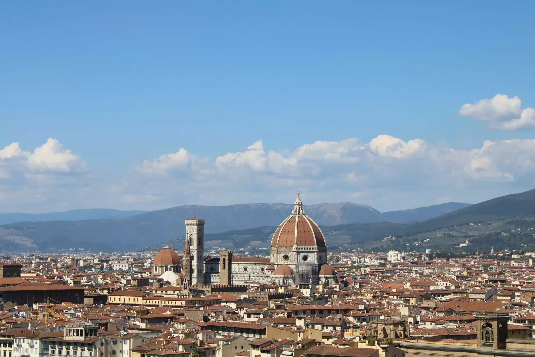 Florencja Fiorentina oricello rucellai barwnik handel