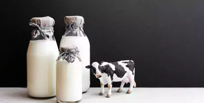 Mleko zdrożeje w Unii Europejskiej? Wszystko przez krowy