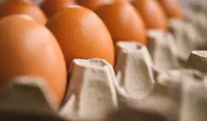 Dlaczego te jajka znikną ze sklepów? Polacy mogą być rozczarowani. Skąd w ogóle taki pomysł?