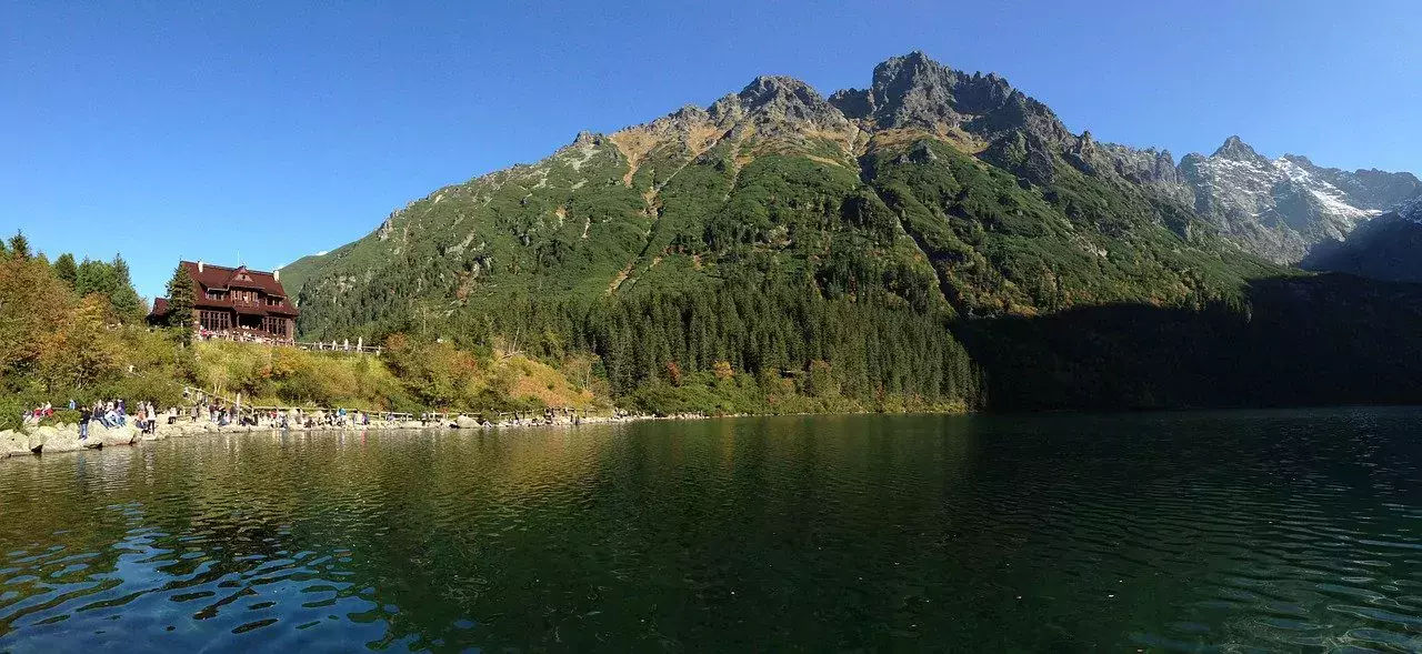 morskie oko konie lewica projekt ustawy