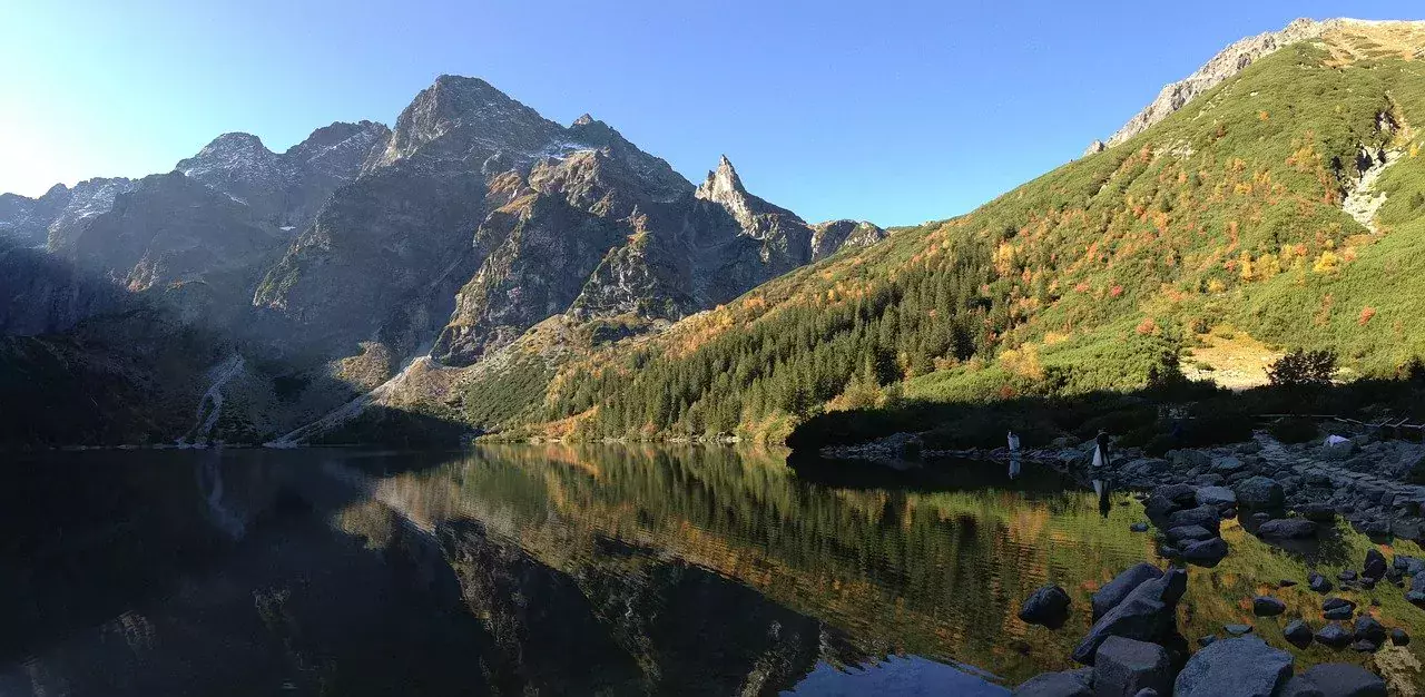 morskie oko konie lewica projekt ustawy